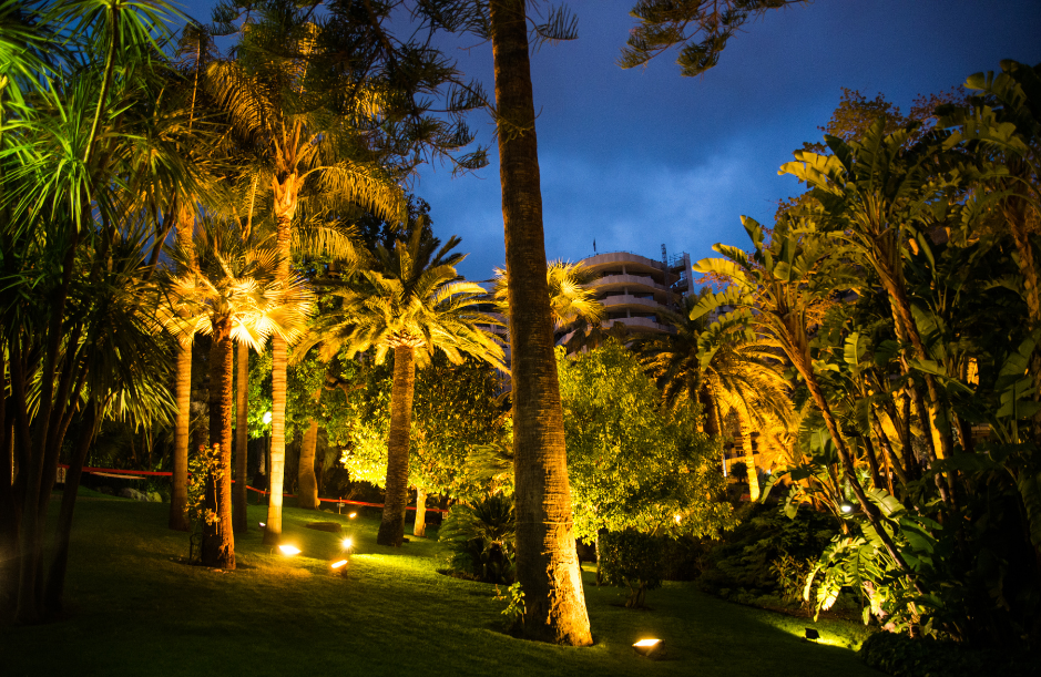 garden lighting at night uplight pro landscape lighting florida